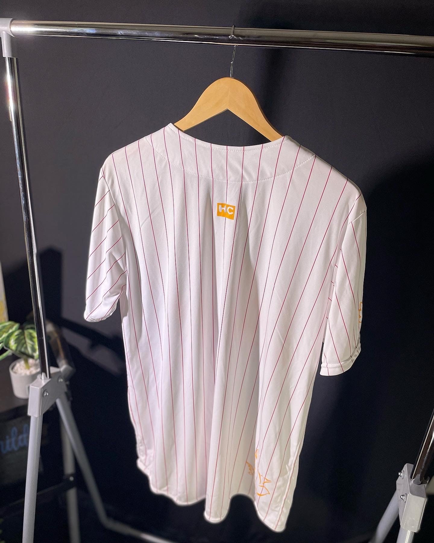 “Land” Jersey [Home]